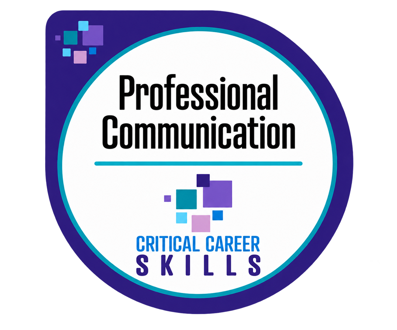 Professional Communication